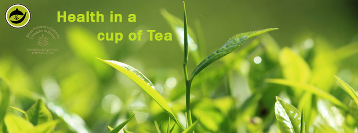 Tea pu benefits erh Benefits of